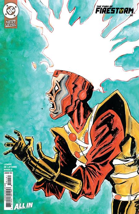 FURY OF FIRESTORM #1 (OF 6)