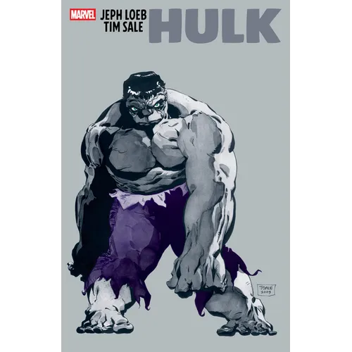 Jeph Loeb & Tim Sale: Hulk