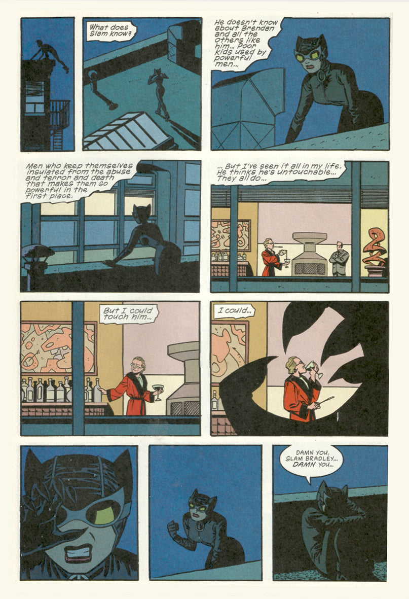 Trial of the Cat Woman Graphic Novel | Compact Edition by Darwyn Cooke & Ed Brubaker