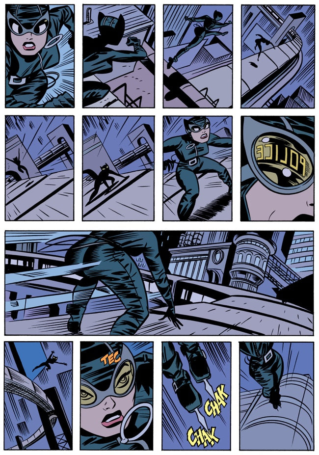 Trial of the Cat Woman Graphic Novel | Compact Edition by Darwyn Cooke & Ed Brubaker