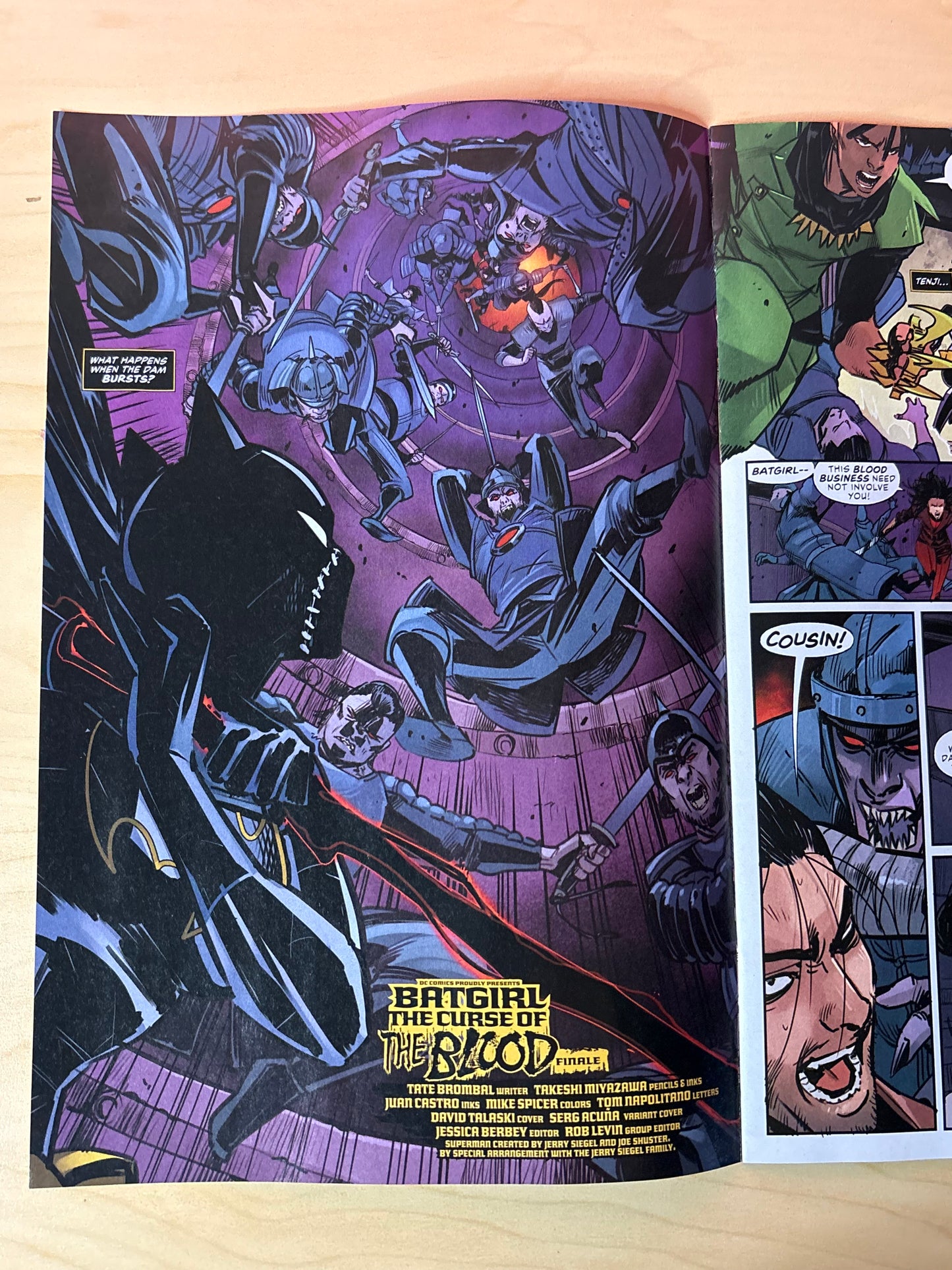 Batgirl #19 (2026) Curse of the Blood Finale