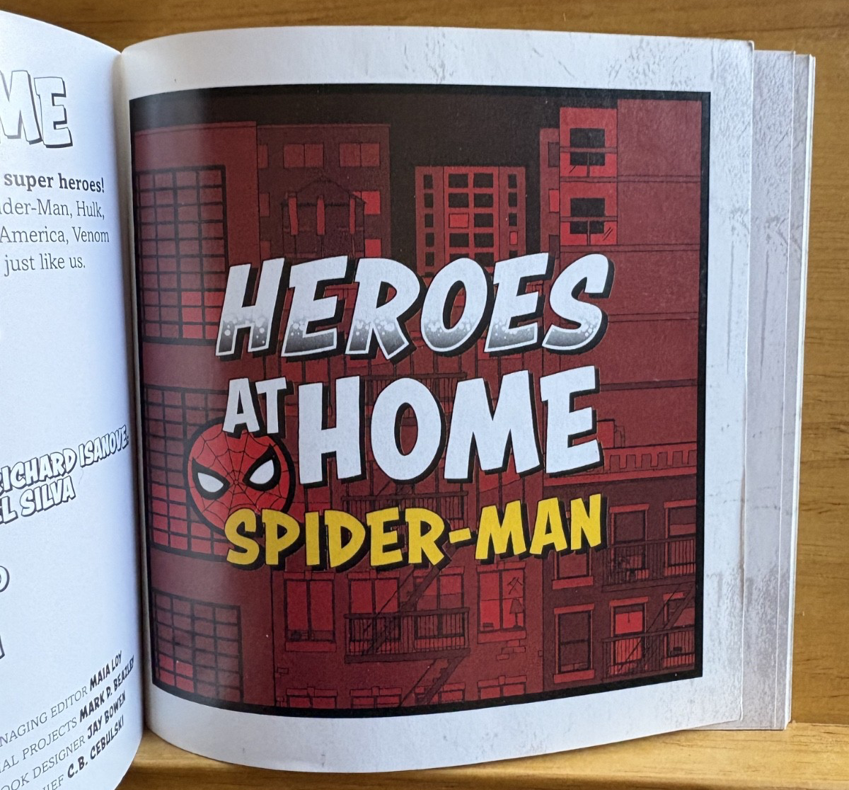 Heroes At Home (Covid Era Pandemic Cover Collection)