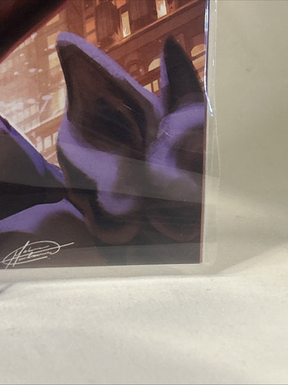 Absolute Catwoman #1 1:25 Manhanini Variant DC 2026 🔥