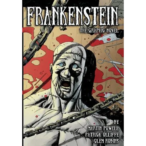 Frankenstein: The Graphic Novel