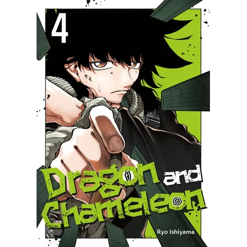 Dragon and Chameleon 04