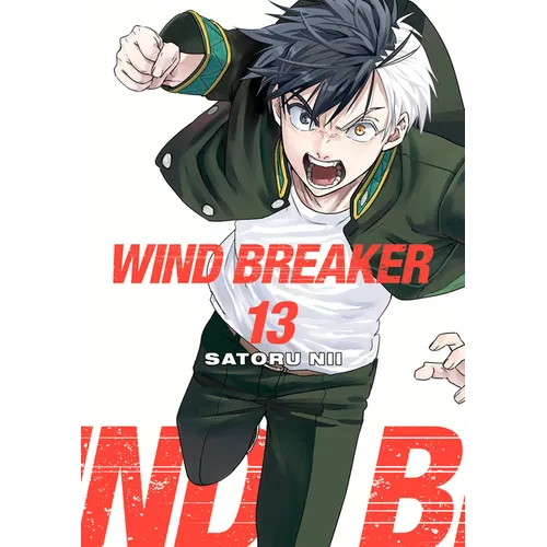 Wind Breaker 13
