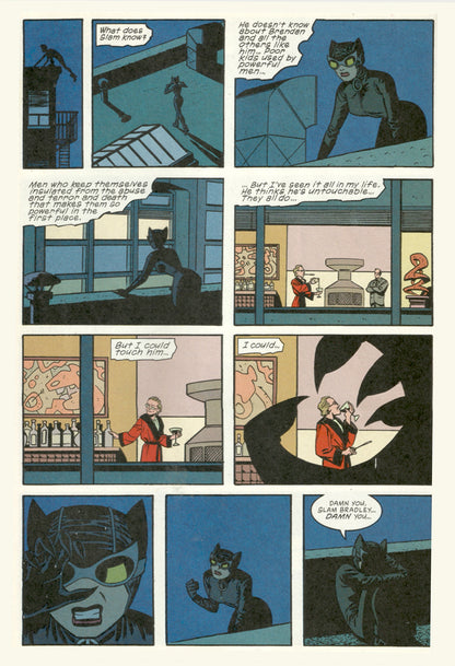 Trial of the Cat Woman Graphic Novel | Compact Edition by Darwyn Cooke & Ed Brubaker