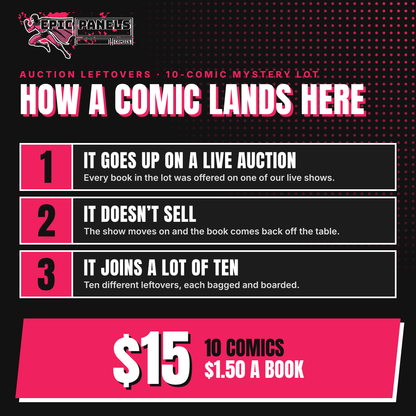 How the Auction Leftovers lot works: comics unsold at live auction are bundled 10 for $15, which is $1.50 a book