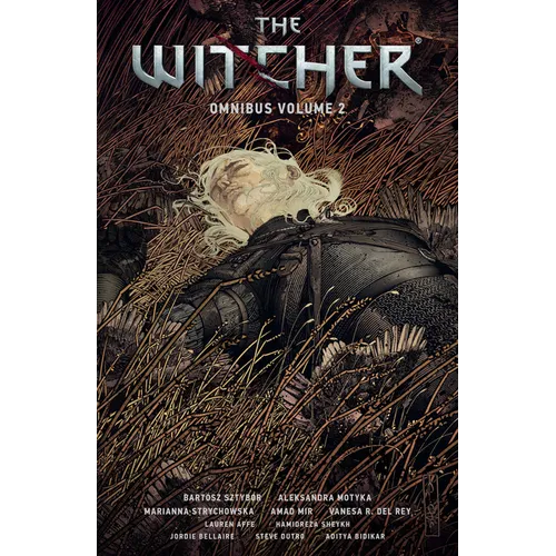 The Witcher Omnibus Volume 2