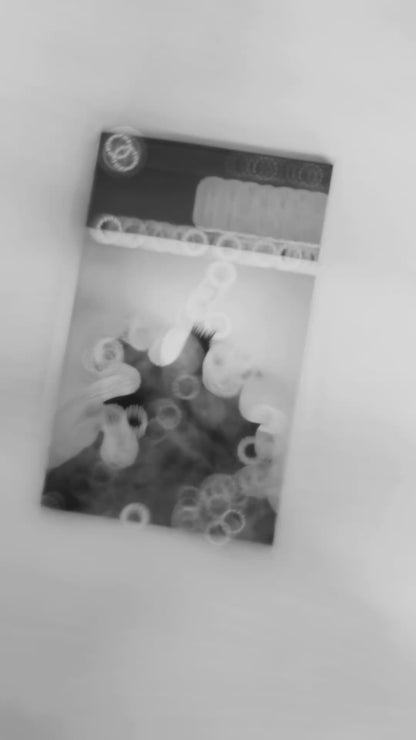 DCeased (Compact Edition) | Epic Zombie Apocalypse Comic