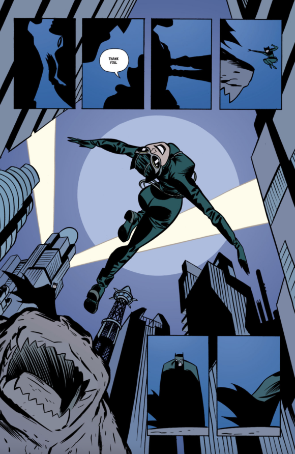 Trial of the Cat Woman Graphic Novel | Compact Edition by Darwyn Cooke & Ed Brubaker
