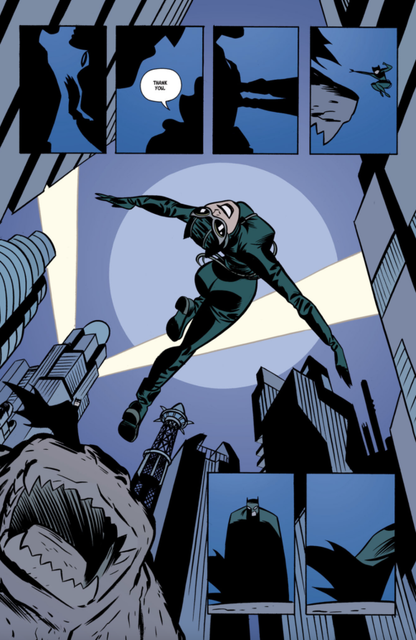 Trial of the Cat Woman Graphic Novel | Compact Edition by Darwyn Cooke & Ed Brubaker